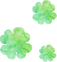 Clover Accent03