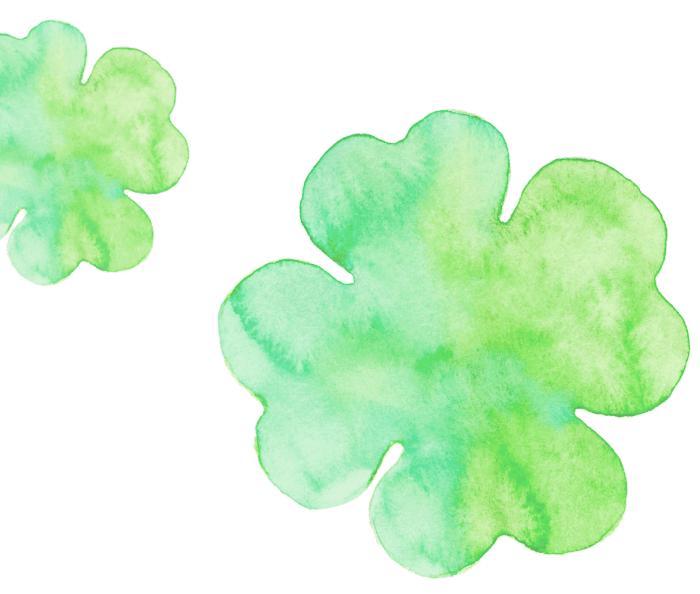 Clover Accent07